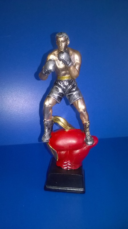 TROFEO RESINA BOXE ART. 23602