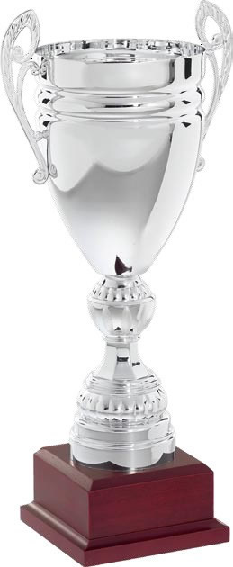 Coppa art. 14315